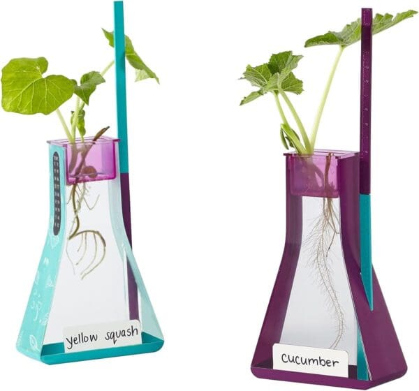Kit de Cultivo Hidropónico Nancy B’s – Crecimiento sin Tierra