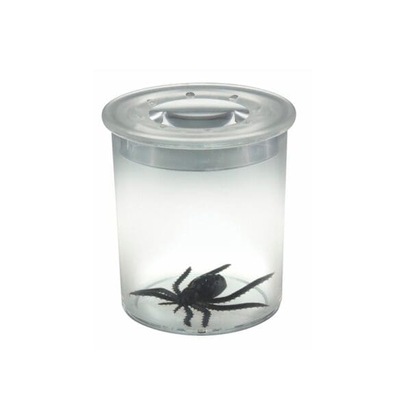 Vaso Lupa Acrílico Didáctico con Araña Plástica