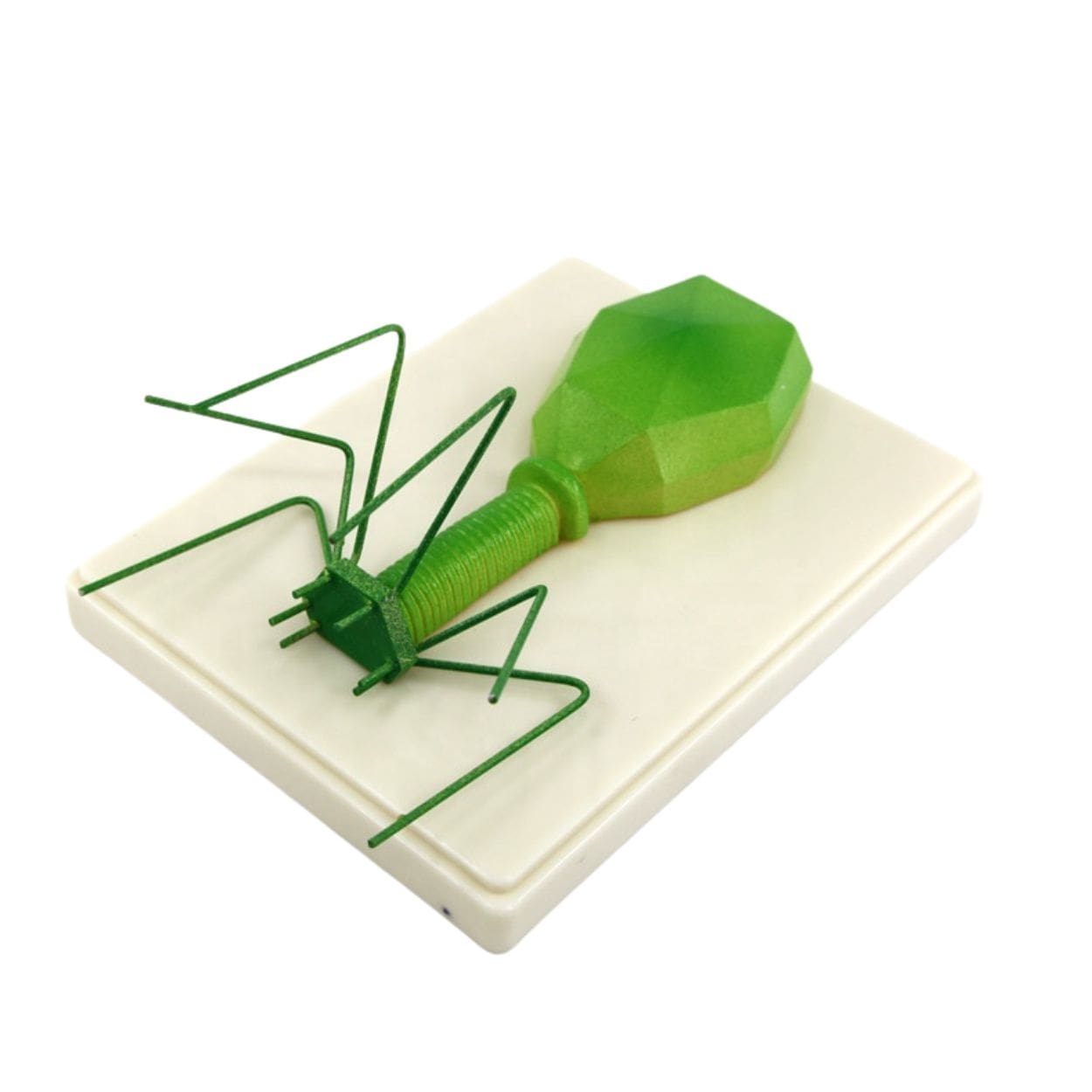 Modelo didáctico de bacteriófago