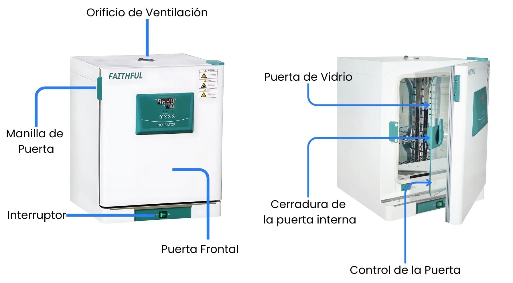 Partes de la estufa de incubación DH4000BII
